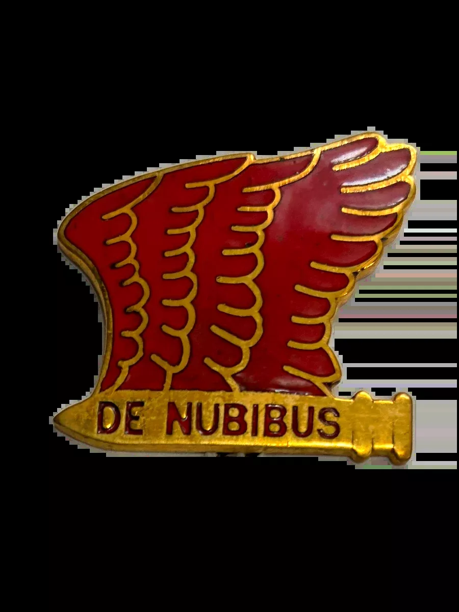 101st Airborne Division Artillery DUI Crest Pin